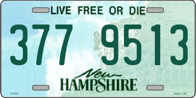 NH license plate 3779513