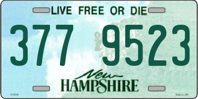 NH license plate 3779523