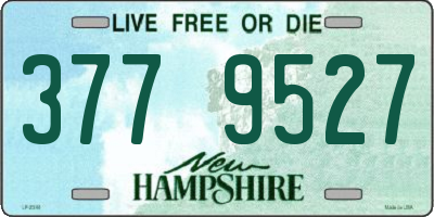 NH license plate 3779527