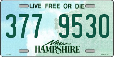 NH license plate 3779530