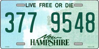NH license plate 3779548