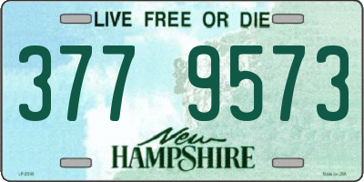 NH license plate 3779573