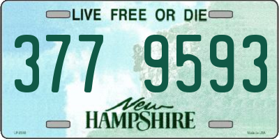 NH license plate 3779593