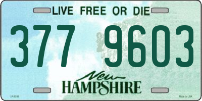 NH license plate 3779603