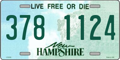 NH license plate 3781124