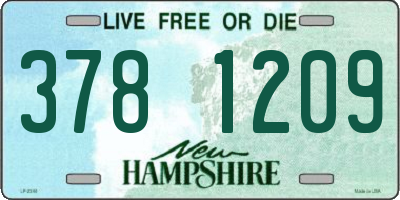 NH license plate 3781209