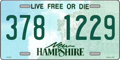 NH license plate 3781229