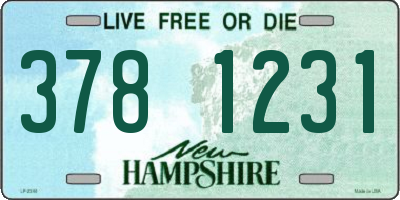 NH license plate 3781231