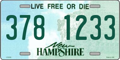 NH license plate 3781233