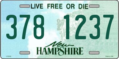 NH license plate 3781237