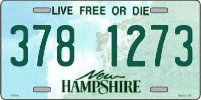 NH license plate 3781273