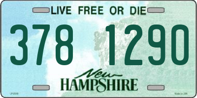NH license plate 3781290