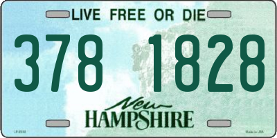 NH license plate 3781828