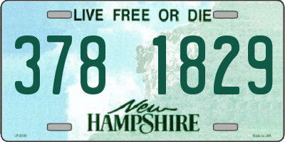 NH license plate 3781829