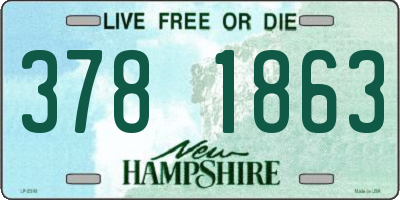 NH license plate 3781863