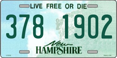 NH license plate 3781902