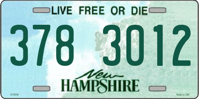 NH license plate 3783012