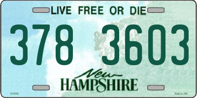 NH license plate 3783603