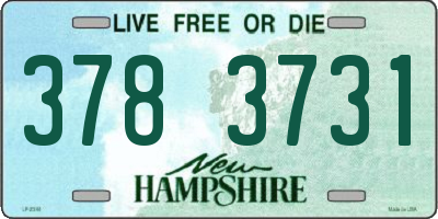NH license plate 3783731