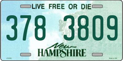 NH license plate 3783809