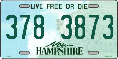 NH license plate 3783873