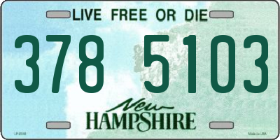 NH license plate 3785103