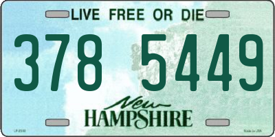 NH license plate 3785449