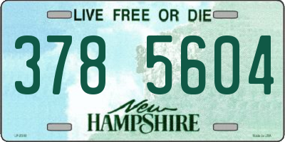 NH license plate 3785604