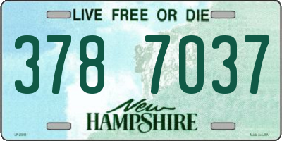 NH license plate 3787037
