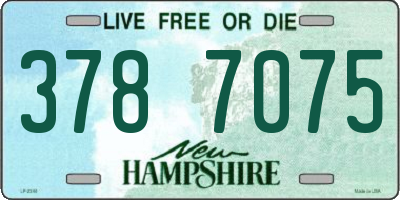 NH license plate 3787075