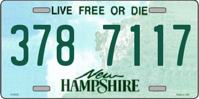 NH license plate 3787117