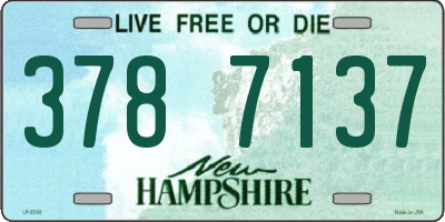 NH license plate 3787137