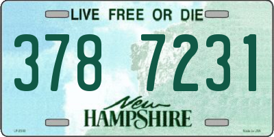 NH license plate 3787231