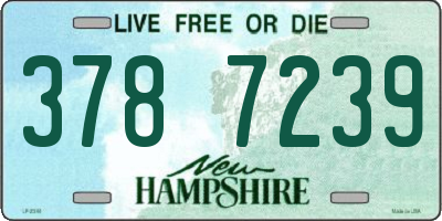 NH license plate 3787239