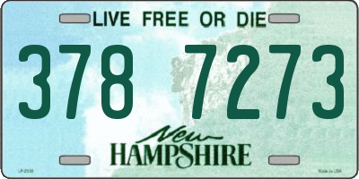 NH license plate 3787273