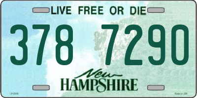NH license plate 3787290