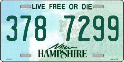 NH license plate 3787299