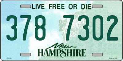 NH license plate 3787302