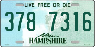 NH license plate 3787316