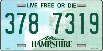 NH license plate 3787319