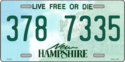 NH license plate 3787335