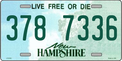 NH license plate 3787336