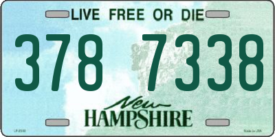 NH license plate 3787338