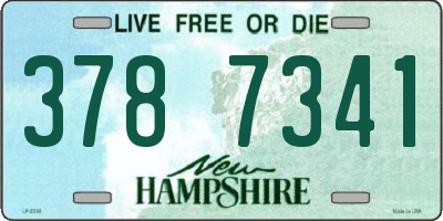 NH license plate 3787341