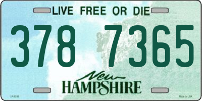 NH license plate 3787365