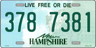 NH license plate 3787381