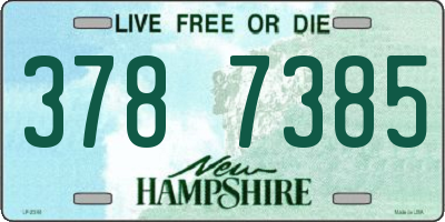 NH license plate 3787385