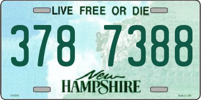 NH license plate 3787388