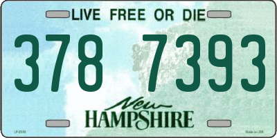 NH license plate 3787393