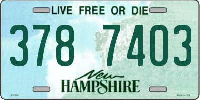 NH license plate 3787403